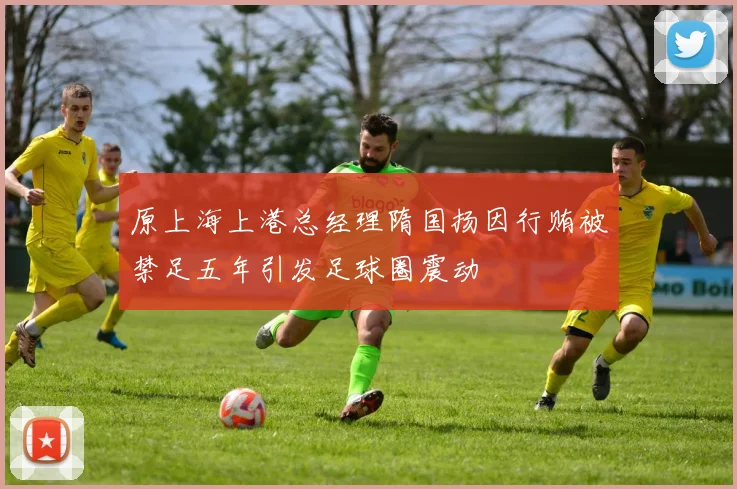 原上海上港总经理隋国扬因行贿被禁足五年引发足球圈震动
