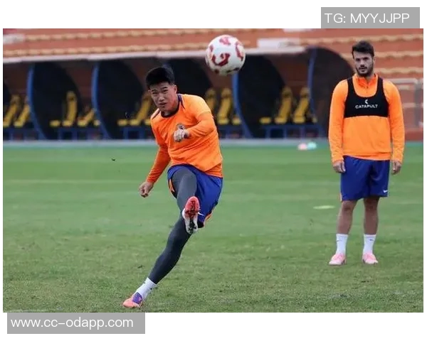 山东泰山队备战上海海港队赛前训练全景展现团队士气与战术准备 山东泰山队备战上海海港队赛前训练全景展现团队士气与战术准备